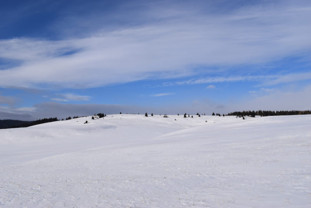 snowshoeing in Slovakia